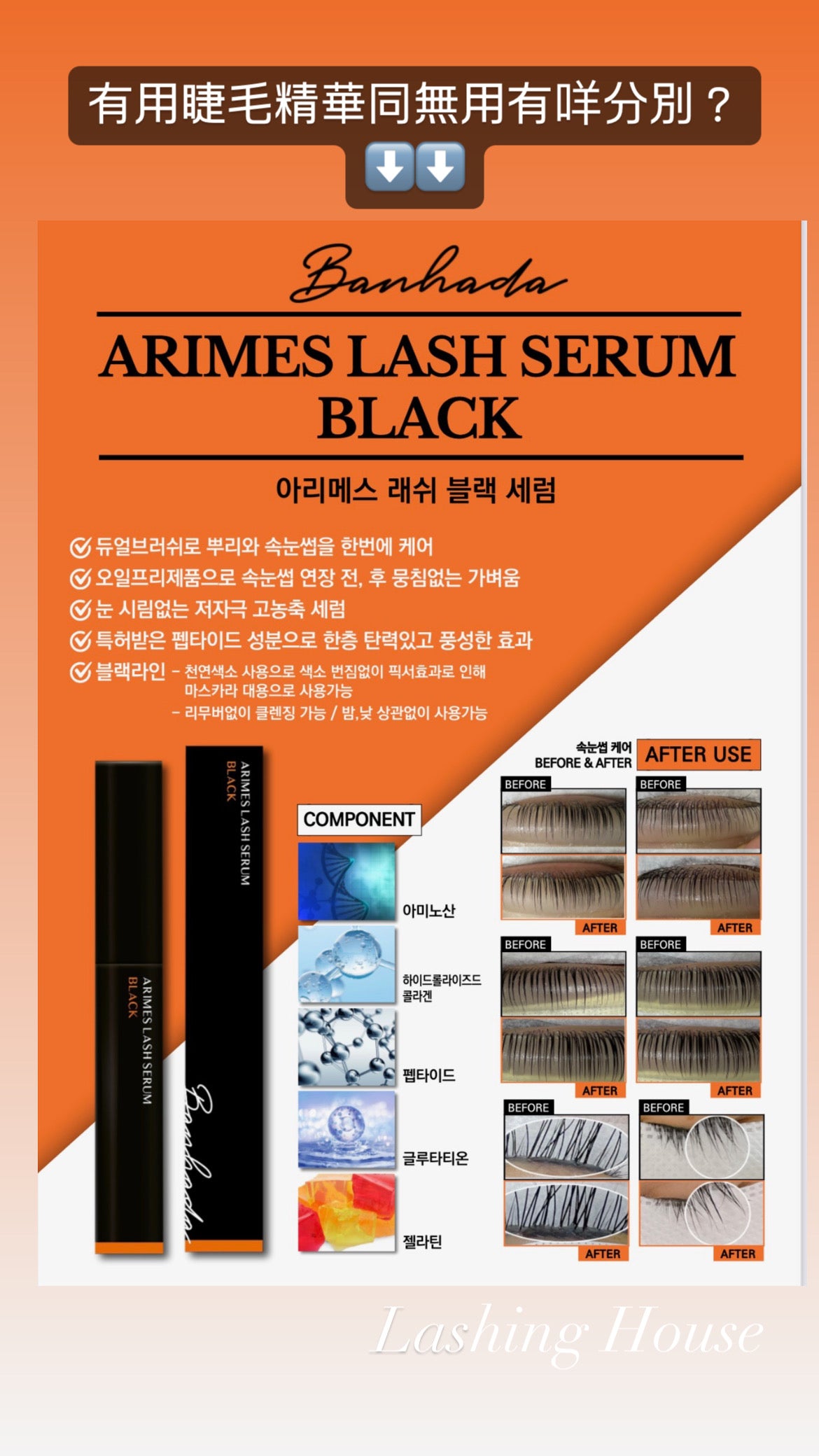 BANHADA - DUAL 雙效精華 (2025 NEW VERSION)